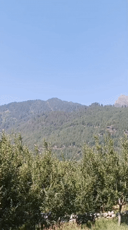 Mountain picnic scene documented in Barheta India