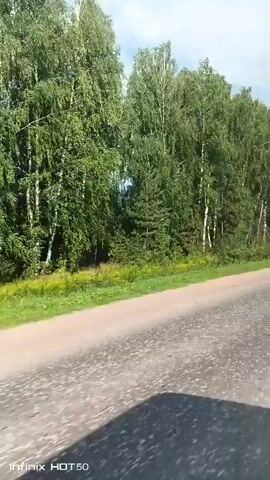 The video shows a dirt road with trees on the side. The trees are green and leafy, with some birch trees visible. The sky is blue with some clouds. The video is shot from a moving vehicle, as indicated by the blur and the shadow of the vehicle in the foreground. The timestamp indicates the video was recorded on July 16, 2023, at approximately 12:00 PM.