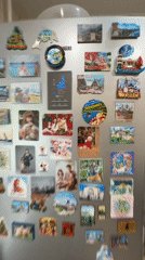 Decorated refrigerator with family photos, magnets captured in Rusanovo