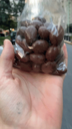Person holds chocolate nuts bag on Buenos Aires street