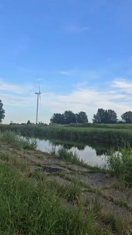 A vertical video captures a serene natural landscape under a bright blue sky with scattered white clouds. In the foreground, tall green grass and some rocks line the edge of a calm body of water, possibly a canal or river, with its surface reflecting the sky and surrounding vegetation. Across the water, dense green reeds and trees form a natural barrier. To the left of the scene, a tall white wind turbine stands prominently against the sky, its blades appearing to be in motion. The overall impression is one of peaceful, rural scenery with a focus on renewable energy infrastructure.