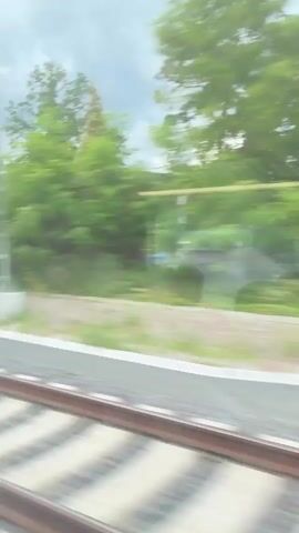 The video shows a view from inside a moving train, looking out the window at a train station. The train tracks and ballast are visible in the foreground. On the platform, there are trees, a green S sign, a fence, a pedestrian overpass with glass enclosures, and a station building with a tiled facade and windows. The sky is cloudy.