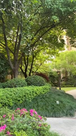 A tranquil scene unfolds outdoors, showcasing a winding stone-paved path flanked by lush greenery. The path, bordered with a thin, dark strip, curves gently into the distance, with tall trees casting shadows over the scene. A manicured lawn and carefully arranged shrubbery enhance the serene atmosphere. In the middle-ground, a vintage-style lamppost stands as a focal point. The architecture of a multi-story building is subtly visible through the trees. A man, wearing a light green t-shirt, dark pants, and a white cap, walks along the path, holding a leash attached to a small, fluffy white dog with a blue harness. The dog, positioned near the edge of the greenery, appears to be pausing. The overall atmosphere is one of calm and pleasant outdoor activity.