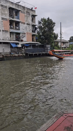 Canal-side Bangkok neighborhood, roosters and all