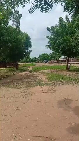 The video captures a view from a dirt path bordered by green trees and grass. In the distance, several small buildings with white roofs are visible. A few people are standing or sitting near the buildings, and a vehicle is parked on the path. The sky is cloudy.