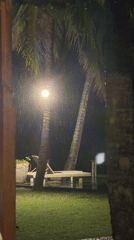 Nighttime rainfall captured near palm trees in Karangasem, Indonesia