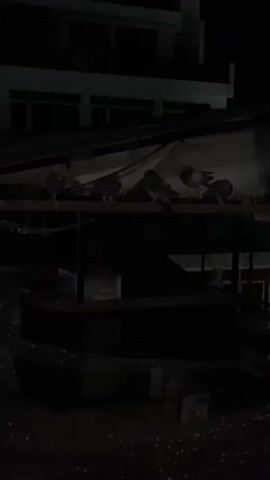 The video shows an outdoor scene at night in Karditsa, Greece. Several pigeons are visible, perched on a raised, dark structure, possibly a rooftop or a set of shelves. The scene is very dark, with minimal artificial light, making it difficult to discern specific details of the surrounding environment. In the background, windows of a building are faintly visible. The pigeons appear to be resting.