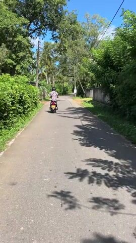A person rides a scooter down a paved road lined with lush green trees and vegetation. The sky is blue with some white clouds. The road is mostly empty except for the scooter and the person riding it. Power lines are visible above the trees on the left side of the road. The person is wearing a plaid shirt and dark pants. The scooter is red and yellow. Shadows of trees are cast across the road.