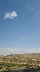 Vehicle passenger records desert landscape near Dimona, Israel