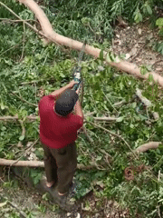 Tree cutting and soccer activities recorded in Lhokseumawe