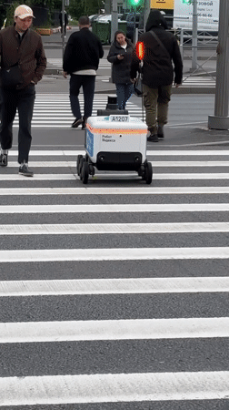 Yandex delivery robot navigates Saint Petersburg crosswalk amid pedestrians
