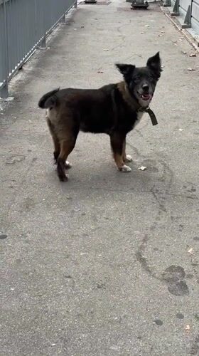 Sochi, Russia