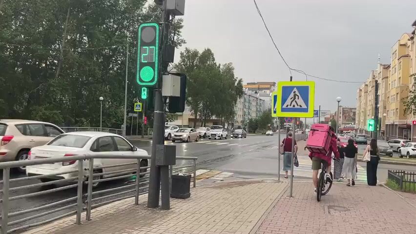 The video shows a street scene with a pedestrian crossing and traffic lights. A traffic light displays a countdown timer that starts at 27 seconds and decreases. Several cars are driving on the wet road. Pedestrians are crossing the street at the designated crosswalk. One person is riding a bicycle with a pink backpack. Another person is walking a dog on a leash. The buildings lining the street appear to be residential or commercial. The sky is overcast, suggesting cloudy weather.
