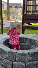 Quiet backyard moments: child, Pomeranian dog captured in residential setting