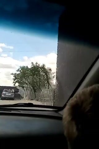 The video begins inside a car looking out the passenger side window. A man in a white t-shirt and green shorts is seen in profile through the window. The camera then shifts to look forward through the windshield. A woman in a white t-shirt and dark skirt stands in a parking lot. She is facing the car. There are two cars parked in the background and trees behind them. The sky is blue with some clouds. The woman appears to be waving. The video ends abruptly.