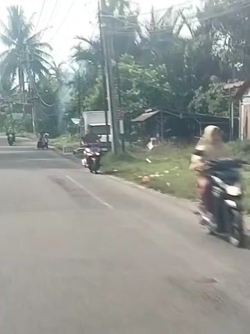The video begins on a paved road with a white van parked on the right side. Palm trees and other vegetation line the roadside, with a telephone pole also visible. Two people are seen on motorcycles in the distance. The camera pans to the right, revealing a small hut with a blue tarp. A motorcycle is in the foreground, its rider partially obscured. Another motorcycle passes by, carrying two individuals. As the camera continues to move, two people are shown on a motorcycle, one of whom appears to have fallen. The video then focuses on the road ahead, with more motorcycles in the distance, and the vegetation and roadside structures continuing to be visible. A yellow line is painted on the road, indicating a lane marking. The scene appears to be a rural or semi-rural area, possibly in a tropical climate, given the presence of palm trees.