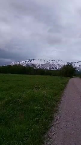 A first-person perspective video shows a dirt road winding through a grassy field with a treeline in the distance. Snow-capped mountains are visible behind the trees under a cloudy sky. The camera is moving forward along the road.