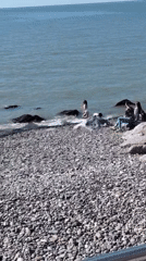 Casual coastal scenes observed across Batumi during midday