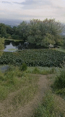 Lily pad pond and mountain landscape near Lermontov, Russia