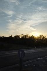 Driver records sunset view through trees during highway journey