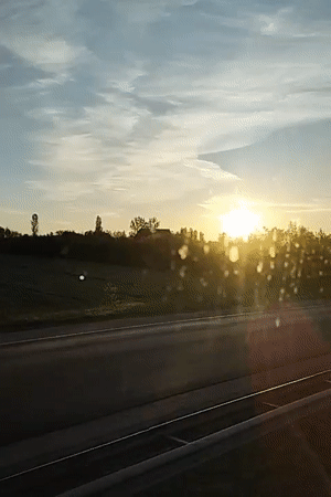 Driver records sunset view through trees during highway journey
