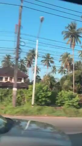 The video shows a car ride through a tropical landscape. Initially, the camera focuses on passing palm trees and the roadside vegetation. The view then shifts to the interior of the vehicle, specifically the sunroof and the front dashboard. The dashboard features a large tablet-style screen displaying a user interface with search bars and music controls. Through the windshield, the road ahead is visible, featuring other vehicles, mountains in the distance, and palm trees lining the street. A person's hand is shown briefly interacting with the tablet screen.