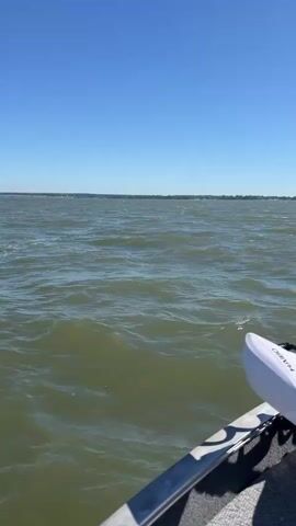 The video shows a view from the front of a boat moving across a large body of water under a clear blue sky. The water is choppy with moderate waves. In the foreground, a white trolling motor with a coiled cord is visible, mounted on the bow of the boat. Next to it is a gray bag with a yellow tag that reads "#ivlerboat". To the right, a fishing net with a yellow handle is resting on the deck. The shoreline with trees is faintly visible in the distance.