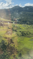 Aerial view captures rural Philippine landscape with rice paddies