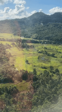 Aerial view captures rural Philippine landscape with rice paddies