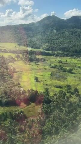 The video shows an aerial view of a lush, green landscape featuring rice paddies and scattered trees, including palm trees.  A hill covered in dense forest rises in the background, under a partly cloudy blue sky.  A small cluster of buildings can be seen in the middle distance.  The camera is static, likely filming from an airplane window, with occasional lens flare.