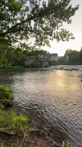The video shows a tranquil river landscape at dawn or dusk. The water is flowing, reflecting the warm light of the sun on its surface. In the background, a low dam creates a small waterfall effect. Beyond the dam, a row of buildings lines the riverbank. Trees frame the scene on both sides. The foreground consists of the riverbank, with some grass and exposed roots visible. The sky is clear and light, suggesting a peaceful atmosphere. There are no people or animals visible in the shot.