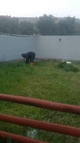 A person in dark clothing and yellow boots is bending over in a grassy area, appearing to be working on the ground. A pale wall is behind them, and a pile of green material, possibly cut grass, is to the right. In the foreground, there are brown horizontal bars. The overall environment suggests an outdoor space with vegetation and a man-made structure.