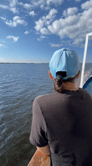 Out on the water watching tugboats and barges pass by
