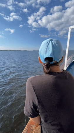 Out on the water watching tugboats and barges pass by
