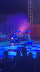 Circus acrobats perform synchronized routines in London tent
