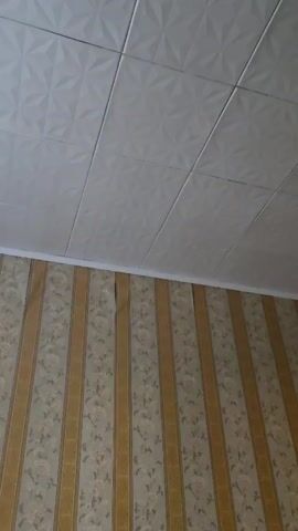 The video shows a close-up view of a ceiling and the upper portion of a wall. The ceiling is made of white, square tiles with a geometric pattern. The wall is covered in striped wallpaper with a floral design. In the upper right corner of the video, a chandelier with multiple lights and ornate details is visible. The chandelier appears to be hanging from the ceiling. There are no people or animals visible in the video. The lighting is dim, and the focus is on the ceiling and upper wall.