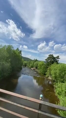 A vertical video shows a river flowing through a forested area under a blue sky with white clouds. The viewpoint is from a bridge overlooking the river, with a dark metal railing in the foreground. Lush green trees line both banks of the river, and in the distance, hills are visible. The water appears calm in some areas and has small rapids in others. Sunlight reflects off the water's surface. There are no people visible in the video.