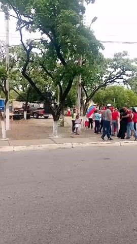 The camera stands in front of a street overlooking a park. In the background, a group of people is standing around. One person is holding up a Venezuela flag. There is a small child in front of the crowd also holding a flag. Behind the crowd, there is a brown truck parked behind a tree. Large speakers sit on the bed of the truck. The sound of a man singing can be heard from the speakers. There are trees on either side of the park.
