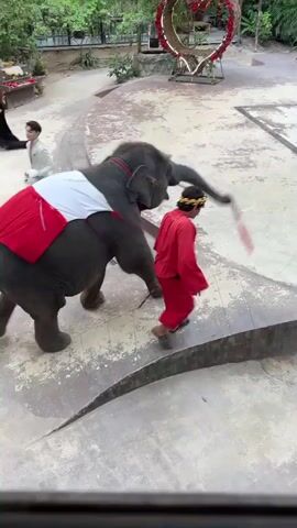 A person in a red outfit leads an elephant adorned with a red and white cloth. Another person in a red outfit stands further back, observing. In the background, there is a large heart-shaped decoration, trees, and bamboo structures. The ground appears to be a paved area with some dirt and textured concrete. The overall setting suggests an outdoor venue, possibly a park or an attraction. The elephant is walking away from the camera, while the person leading it is walking towards the left of the frame.