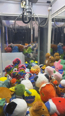 Crane game with stuffed animals spotted in Puebla