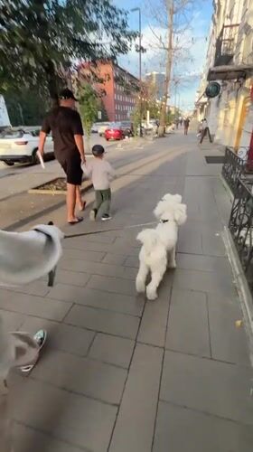Morning dog walk in Krasnoyarsk, plus a surreal pencil sketch