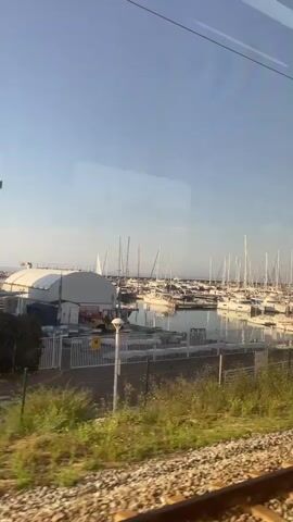 The video shows a sunny view of a marina from a moving train. Numerous sailboats and motor yachts are docked in the calm water. Docks and a walkway run alongside the boats. In the foreground, green foliage and train tracks are visible, indicating the viewer is inside a moving vehicle. A tall, slender palm tree briefly passes by the frame. In the distance, the open sea is visible under a clear blue sky. A sign with "ESCOLA REM" is partially visible near the docks.