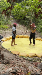 Boxing match and forest walk recorded in Thailand