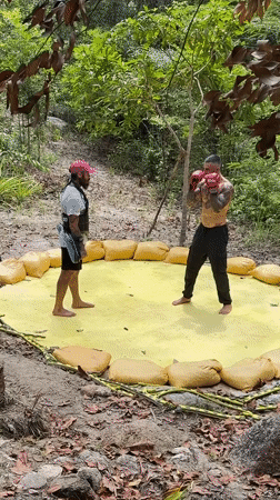 Boxing match and forest walk recorded in Thailand
