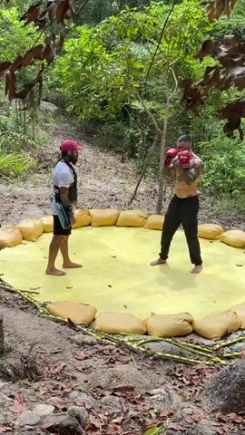 The video shows two men sparring in a ring outlined with sandbags, set in a clearing in a tropical environment. The man wearing red boxing gloves is shirtless, and tattooed. The other man wears a pink baseball cap, white shirt, and a vest. They spar briefly, and the camera pans to the left to reveal a black cat grooming itself near a tree trunk, some equipment, and an iPhone perched on a tree stump.