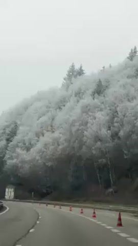 The video shows a car driving on a highway with a snow-covered forest on the side of the road. There is a tunnel entrance to the left, cones on the road to the right, and other cars further down the highway. The sky is overcast.