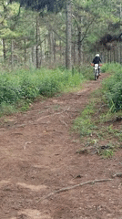 Dirt bike rider navigates forest trails near Da Lat