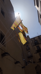 Sunny afternoon scenes documented across Barcelona streets and buildings