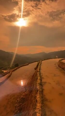 The video showcases the stunning terraced rice fields of Lao Chai, Vietnam, across different lighting conditions.

The initial shot captures a breathtaking panoramic view of numerous water-filled rice paddies cascading down the mountainside. The sun, a brilliant orb, is low in the sky, casting a strong, golden-orange glow across the clouds and reflecting intensely on the muddy water in the fields. Mountains stretch into the hazy distance under a partly cloudy sky, suggesting either sunrise or sunset.

Mid-video, a hand holds up a pair of dark, rectangular sunglasses against the bright landscape. The scene visible through the tinted lenses is significantly darkened, highlighting the sun-filtering capability of the eyewear. The background remains the same terraced fields and mountains, with the sky appearing brighter and bluer compared to the first shot, yet still featuring the prominent sun.

The final segment returns to a wide shot of the terraced fields. The scene is now illuminated by clearer daylight, with a less intense but still powerful sunbeam reflecting off the water. The mountains in the background are distinctly green, and the overall atmosphere is bright and serene. The water in the paddies is calm, mirroring the sky.