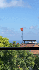Paraglider flight and resting dog captured in morning observations